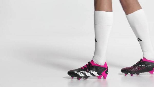 Soft 2024 ground predators